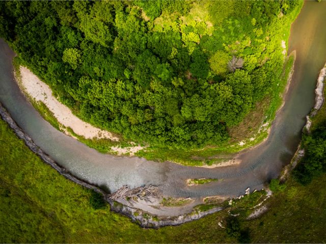Winding Blue River around a grouping of trees.