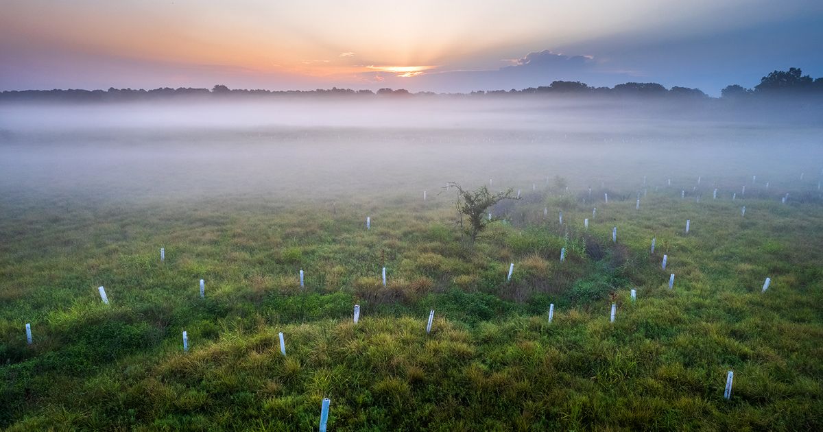 Restoring the Blue River | The Nature Conservancy