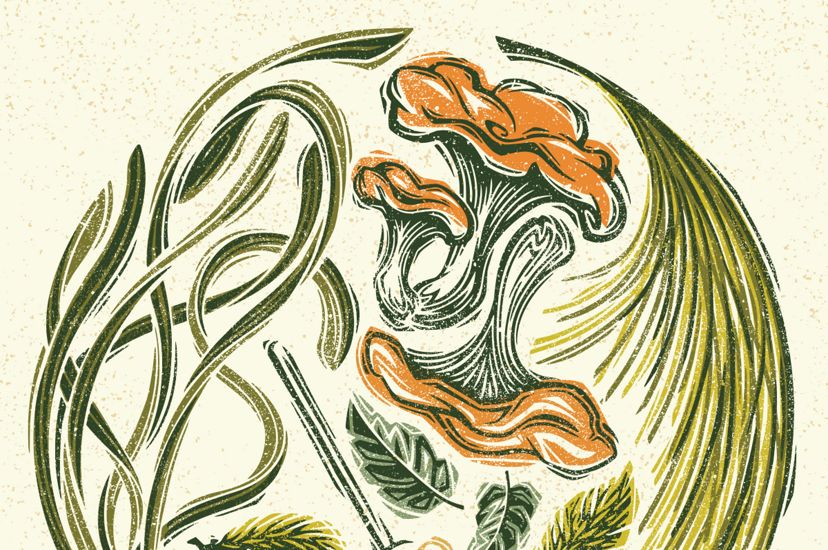 Art illustration showing strands of eelgrass and a branch of longleaf pine needles forming a circle around red spruce tips, chanterelle mushrooms and a honey dipper.