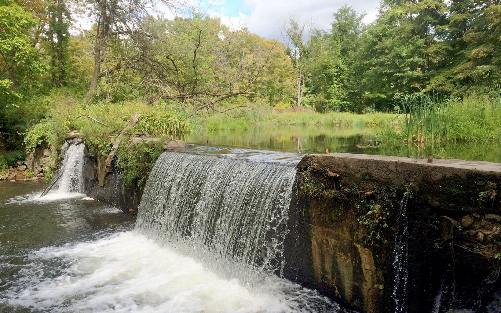 Obsolete dams, like the Old Papermill Dam in Connecticut, can often cause harm to the environment.