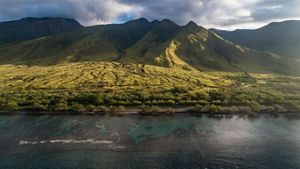 A rare view of the Olowalu-Ukumehame mountain-scape green with growth following winter rains. 