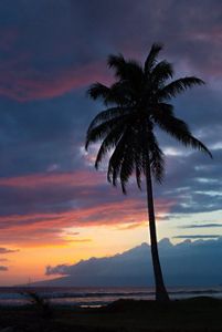 Olowalu Sunset