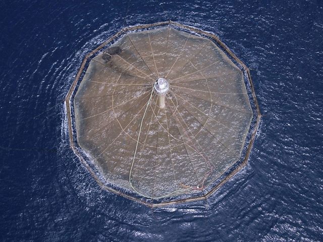 An aerial view of a circular net cage floating in open blue water.