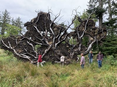 The Lower Nehalem Community Trust, local volunteers, The Nature Conservancy, and other partners come together to celebrate protection of the Sitka Wetland Addition.