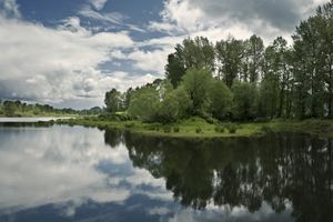 View of a river with trees and the sky in the background.