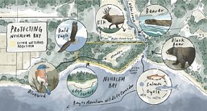 A map illustration features animals.