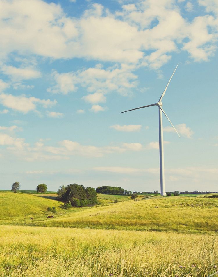 Wind turbine in farm field against blue sky.
