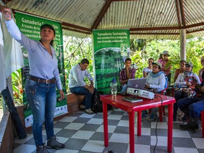 Miembros del proyecto GAnadería Colombiana Sostenible, región Meta, asisten a un taller sobre implementación de silvopastoriles, y otras formas de producción baja en carbono.