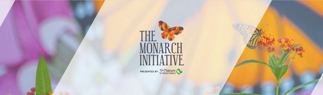 The Monarch Initiative branding banner: a photo of a monarch on a flower is overlain by the Monarch Initiative logo.