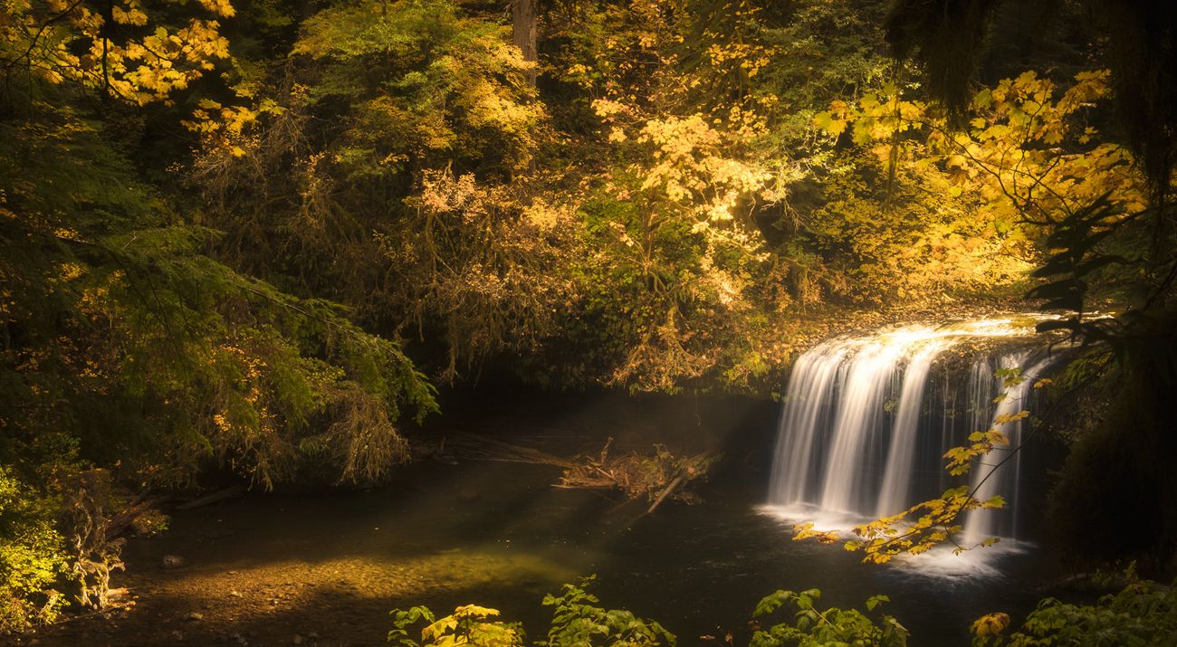 Oregon forest with waterfall