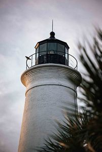 A large white and black lighthouse rises between palm trees, a solid resting place for an osprey as it overlooks the bay.