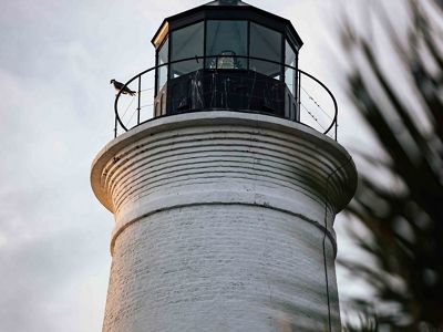A large white and black lighthouse rises between palm trees, a solid resting place for an osprey as it overlooks the bay.