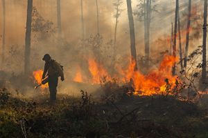 A wildland firefighter in yellow gear holds a drip torch in the forest. Orange and red flames can be seen around him.
