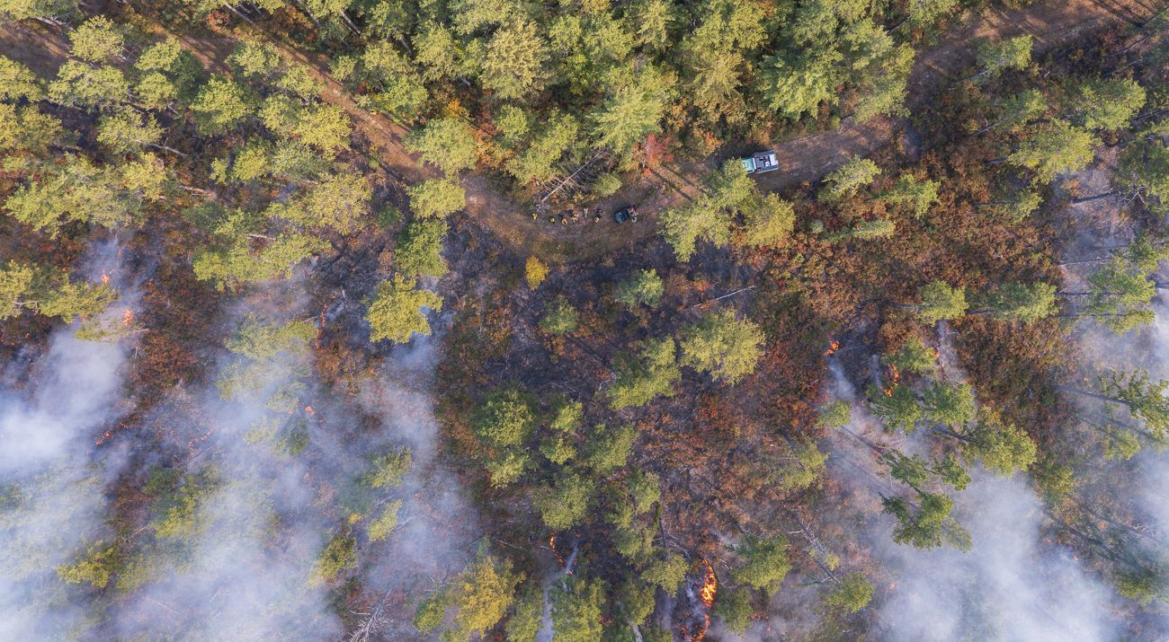 An aerial view of a controlled burn.