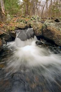 A stream rushes over rocks in a forest.