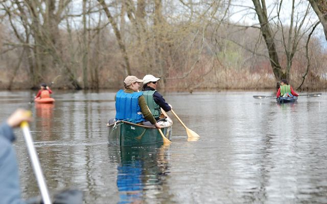 Two people paddling in a river surrounded by bare trees. 