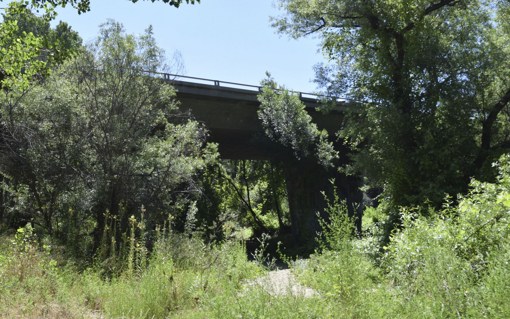 a highway bridge crosses over a dried creek bed surrounded by overgrown trees and bushes