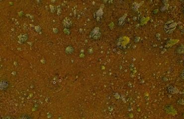 aerial view of two emissions monitoring wells in a vast peat bog.