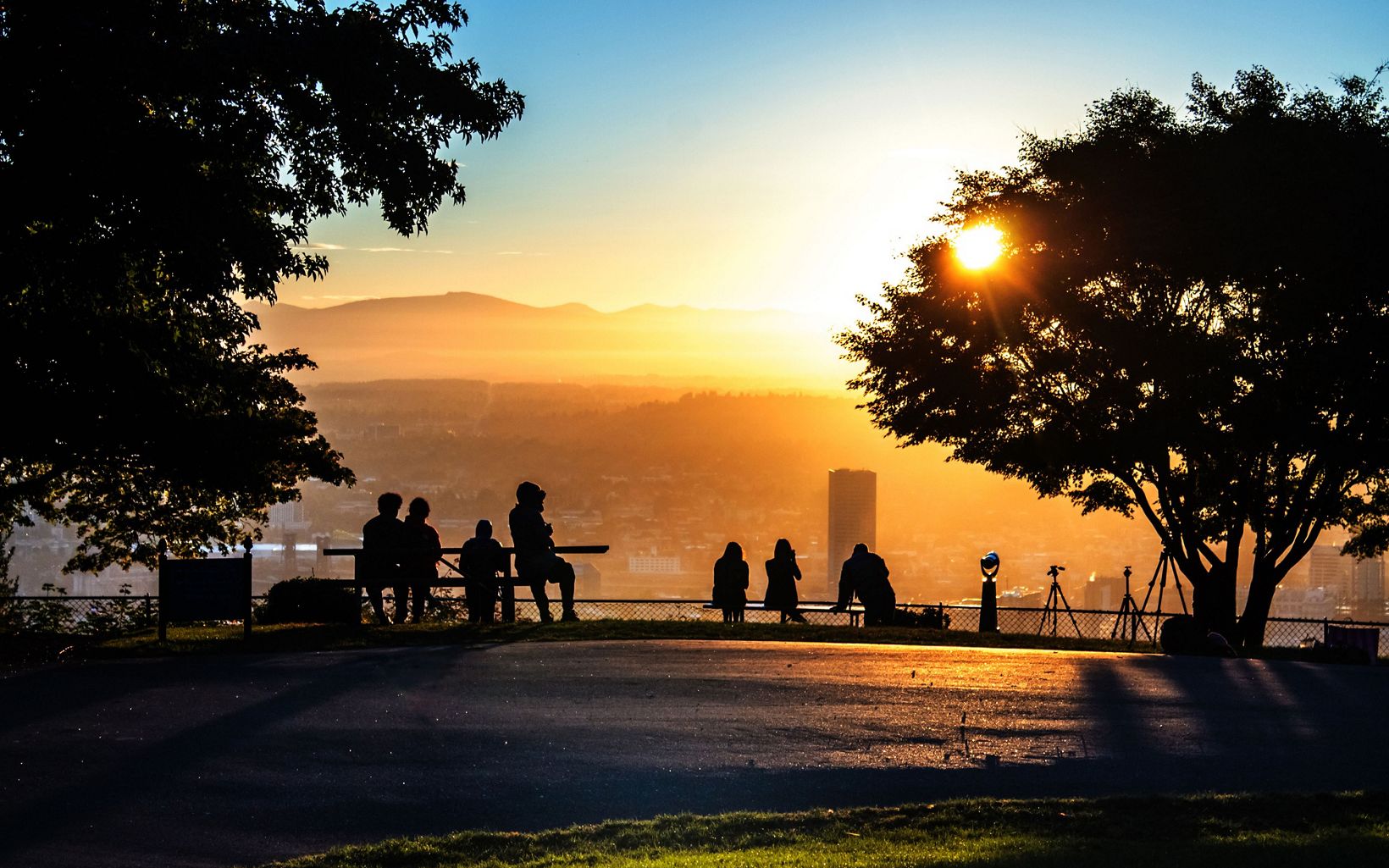 A small group of people sit at the edge of a city park overlooking Portland, Oregon, as the setting sun shines through a nearby tree.