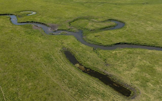 Aerial view of oxbows next to a stream.