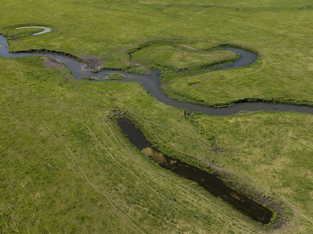 Aerial view of oxbow ponds in a prairie.