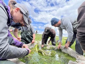A group of people survey an oxbow for fish.