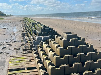 Coastline with stacks of gray concrete blocks.