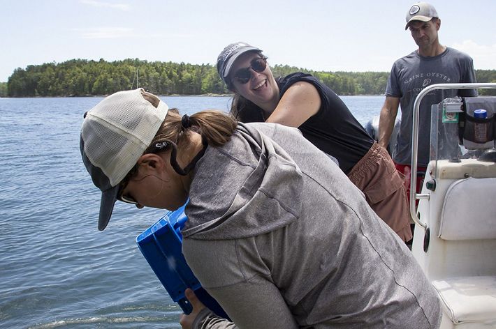 A woman smiles as she helps another dump oysters into the water.