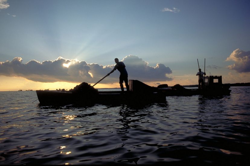A silhouette of a man on a boat paddling at sunset.