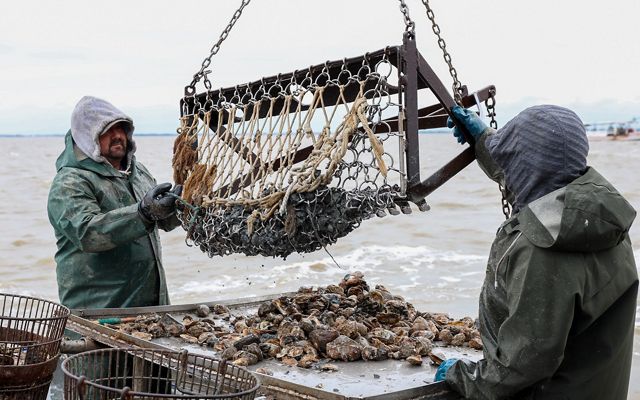 Two men stand with heavy machinery on a boat, pulling up oysters from the ocean.