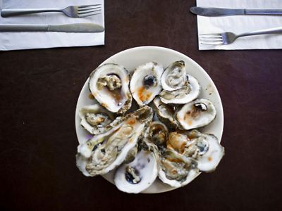 A plate full of oysters on the halfshell, viewed from directly above.