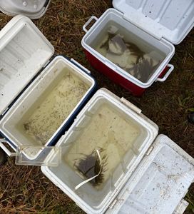 Big Darby Fish Release Coolers