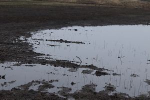 A close-up shot features wetlands and dark brown soil.