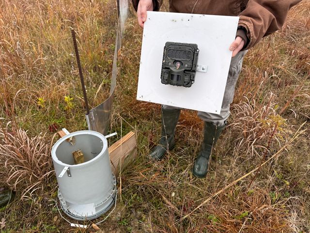 Ahdrift Array Treating Invasives and Monitoring Wildlife | TNC