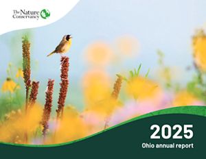 Male Common Yellowthroat sings among the prairie flowers in Ohio. © Jordan McLeland/TNC Photo Contest 2023