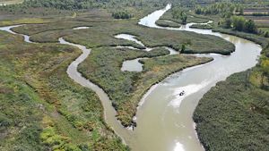 Aerial shot of wetlands and river.