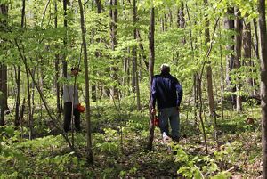 Two men stand in the forest with small colored flags.