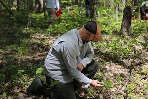 Man knees on forest floor holding a white flower.