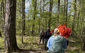 People hiking with backpacks in a forest.