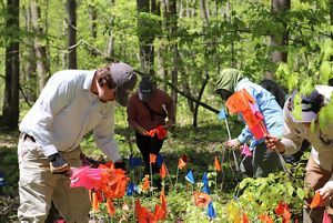 People stand by flags in a forest.