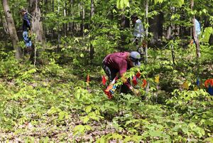A woman places a flag with people in the forest background.
