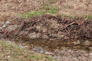 Stream with clean water and rocks at the bottom.