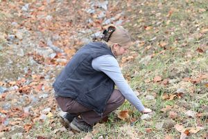 Woman crouches to put a tree nut in the ground.