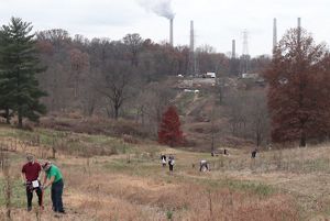 People planting nuts with hills in the background.