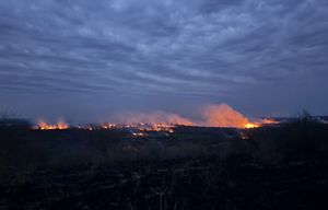 Fire in the distance with a dark blue night sky.