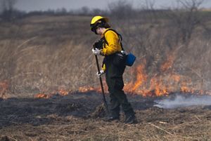 Person with fake stands by a fire line in an open field.