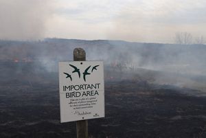 A sign from the Audubon Society with smoke and fire in the background.