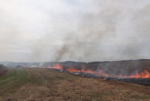 Fire in a line in an open field.