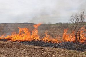 Fire in an open field in a line.