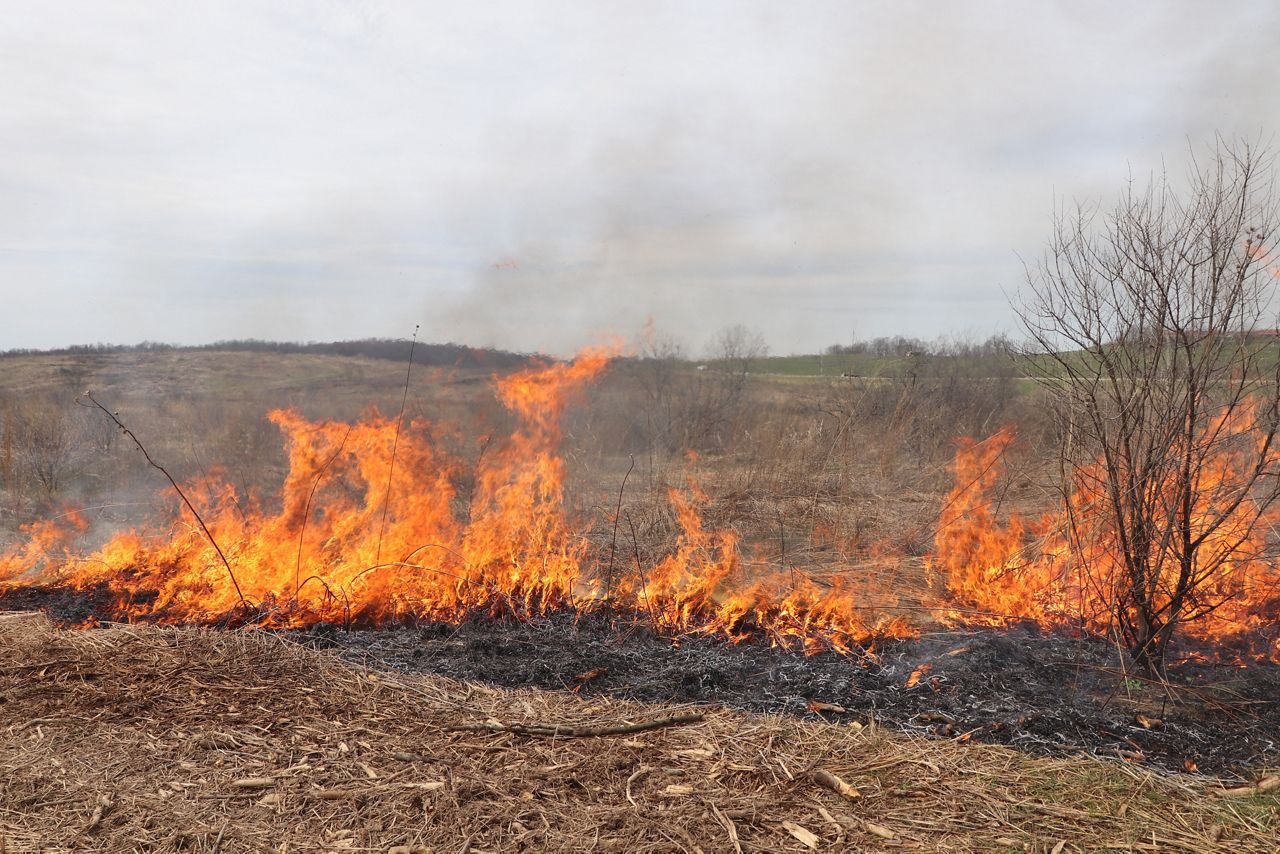 Prescribed fire at The Wilds benefits people and nature